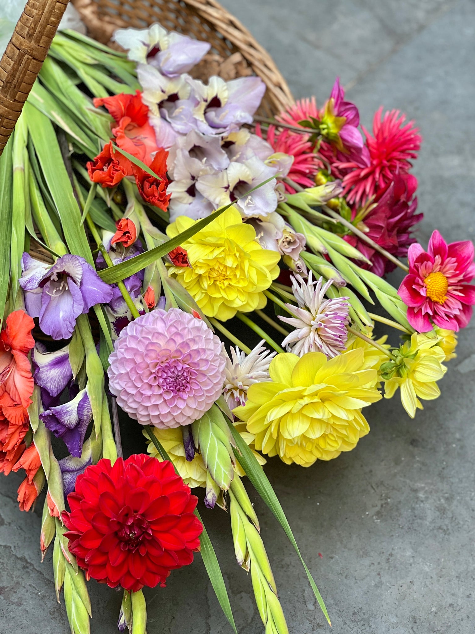 Dahlias and gladioli in a wicker trug