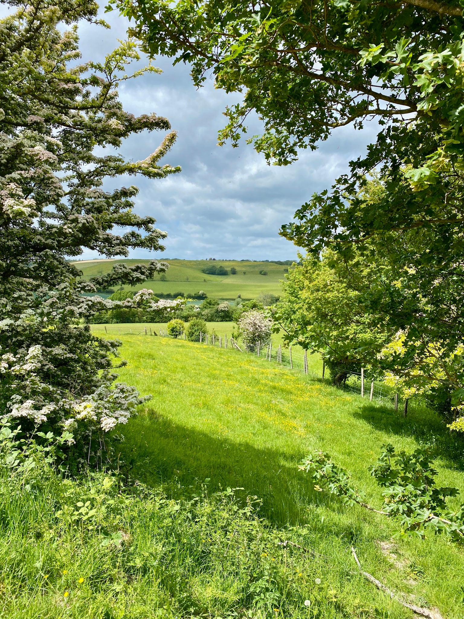 Elham Valley Kent in spring