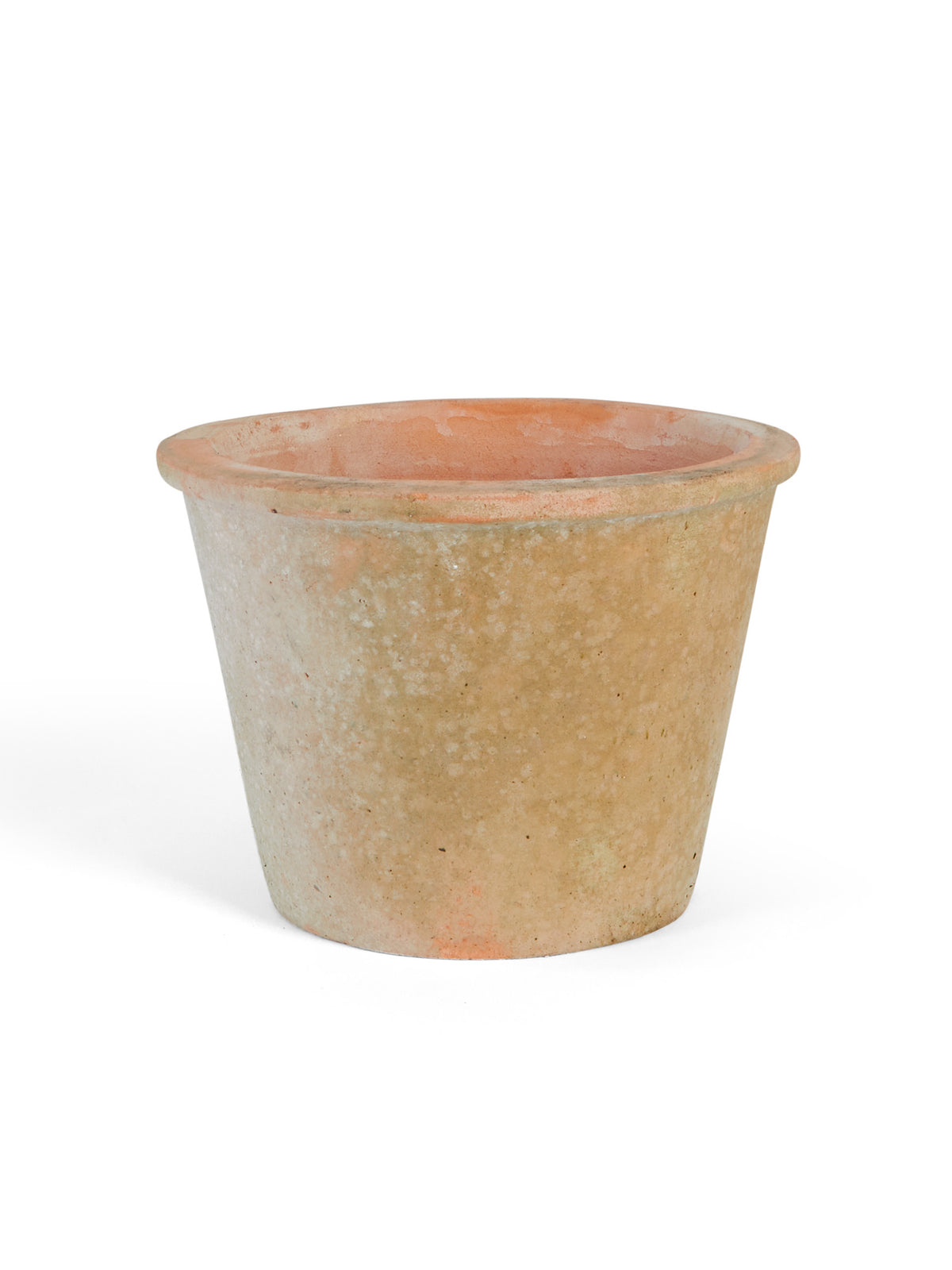 Terracotta Pot With Medium – Dan Garden