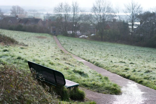 Bench overlooking a frosty pathway with houses in the distance