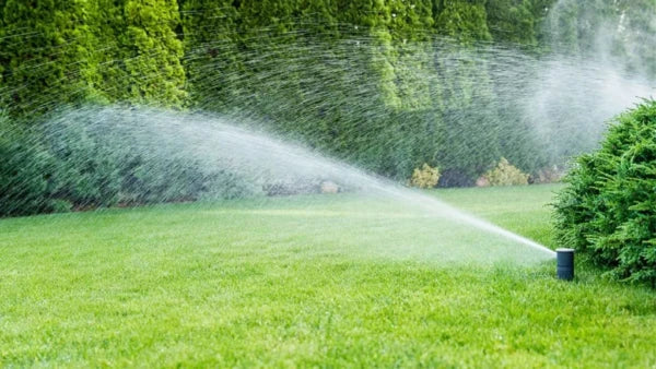 Lawn sprinkler watering green grass