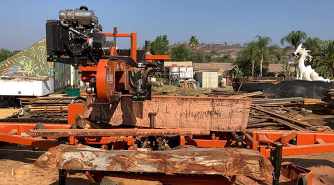 milling-red-gum-eucalyptus-lumbercycle