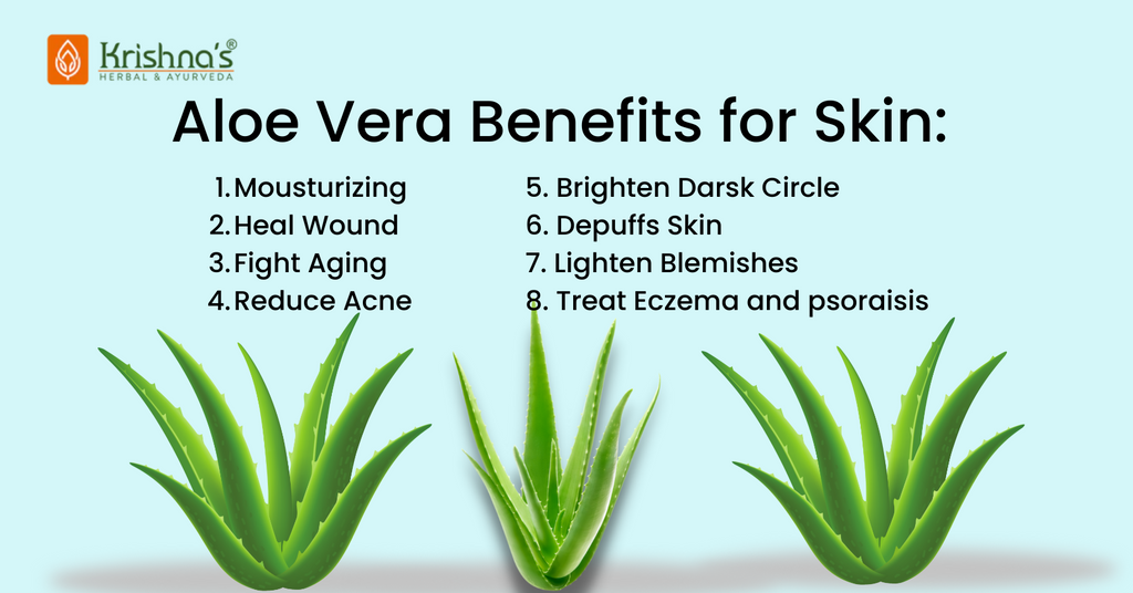 7 Amazing Uses for Aloe Vera