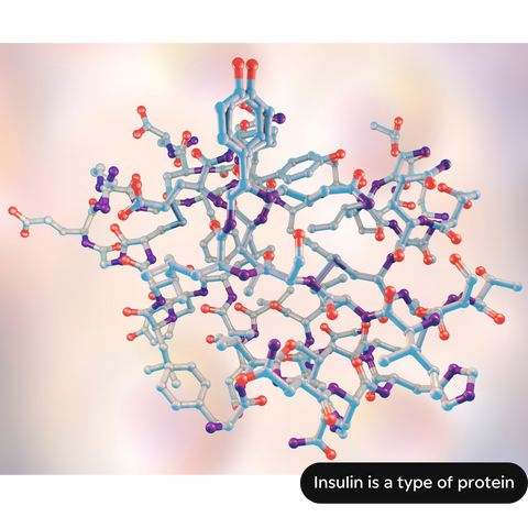 Insulin is a type of protein molecule