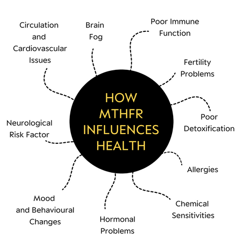 How MTHFR Influences Health