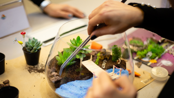 building a terrarium with tools like long-nose tweezers