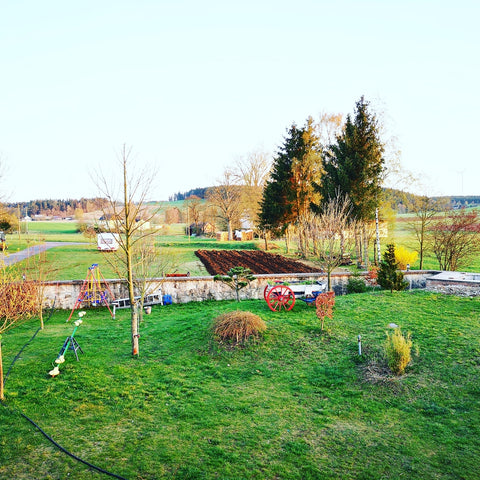 graszaden voor hobbyboerderij