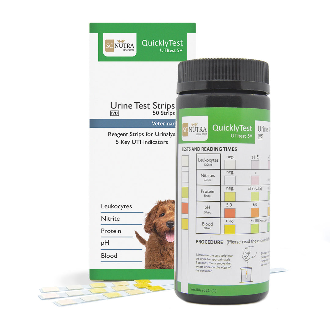 Image of Quickly Test Veterinary Urine Test Strips for Cats & Dogs