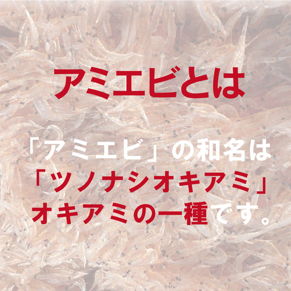 アミエビとは「ツノナシオキアミ」オキアミ一種です