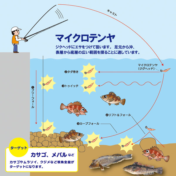 마이크로 텐야