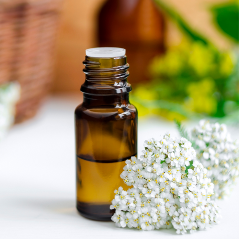 Blue yarrow oil