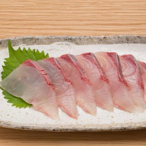 Kanpachi Greater Amberjack Sashimi Grade カンパチ刺身 350 400gm 500gm Sinn 伩