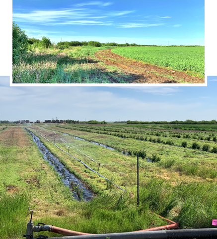 Game and wildlife habitat creation on a commercial farm in Alberta Canada