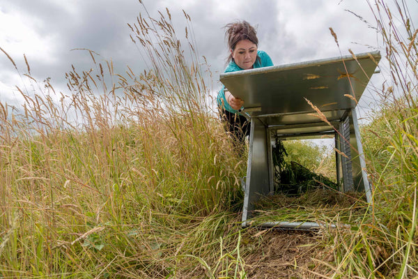 Dr Roisin Campbell-Palmer setting a Bavarian Beaver Trap in Scotland to capture a beaver from a conflict site.