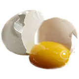 A cracked egg showing the yolk