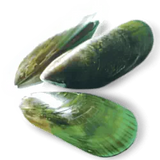 Three Green Lipped Mussels