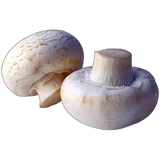 Two mushrooms