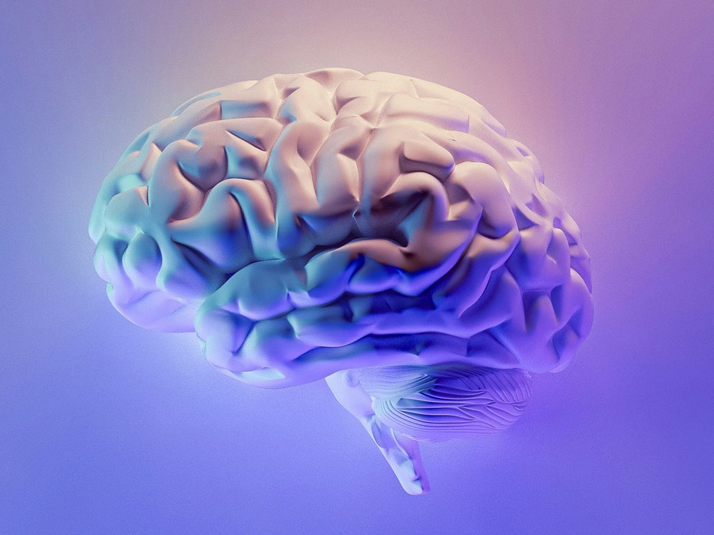 Neuralink ha logrado la fusión entre cerebro y tecnología