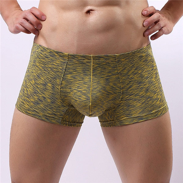 Aonga Sexy Boxers Shorts Men Underwear Cueca Low Rise Panties Breathable U Convex Pouch Underpants masculina Men's Clothes Boxer M-XXL