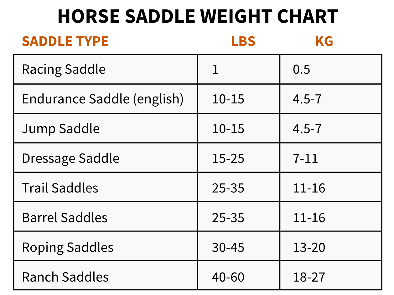 How to Measure a Saddle Gullet (English & Western Saddle) Saddles Now