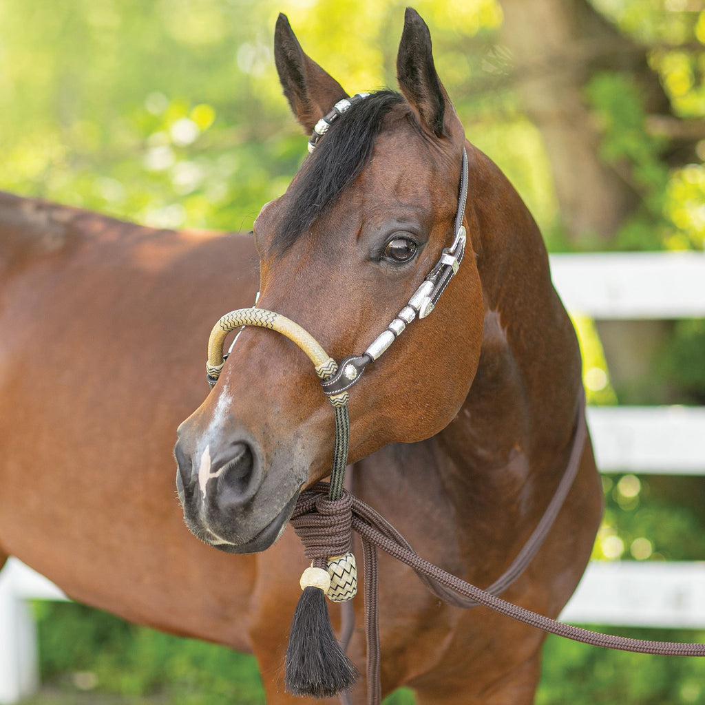 western bitless bridle