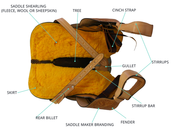  parts underneath saddle