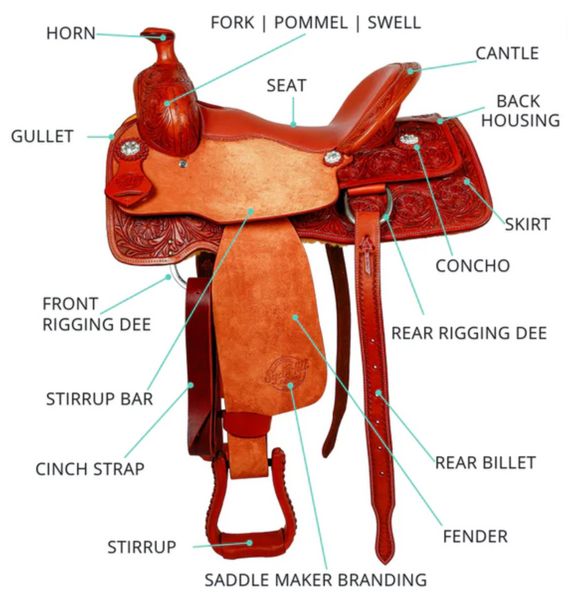 Parts Of The Western Saddle