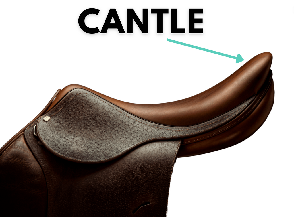 cantle-english-saddle