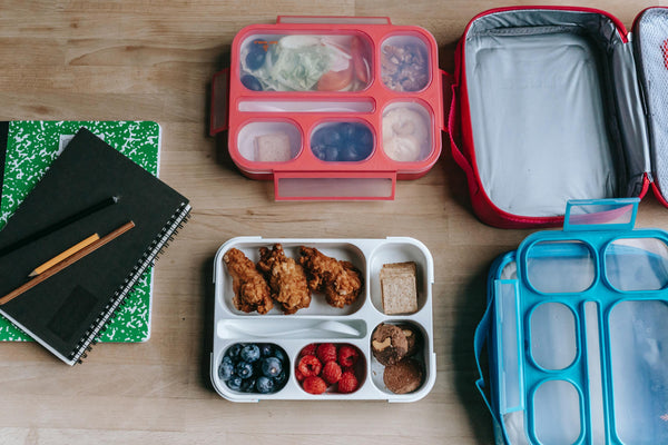 A Mom's Guide to Choosing Best Lunch Box for Kids