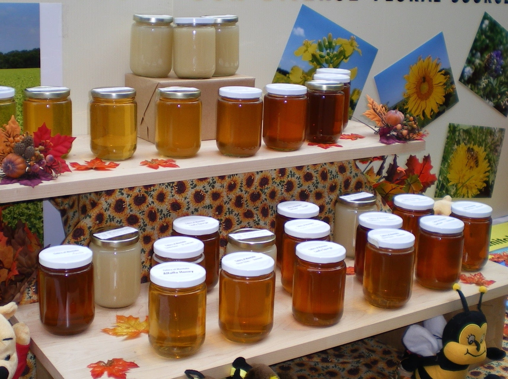 many jars of honey with many different colours on display