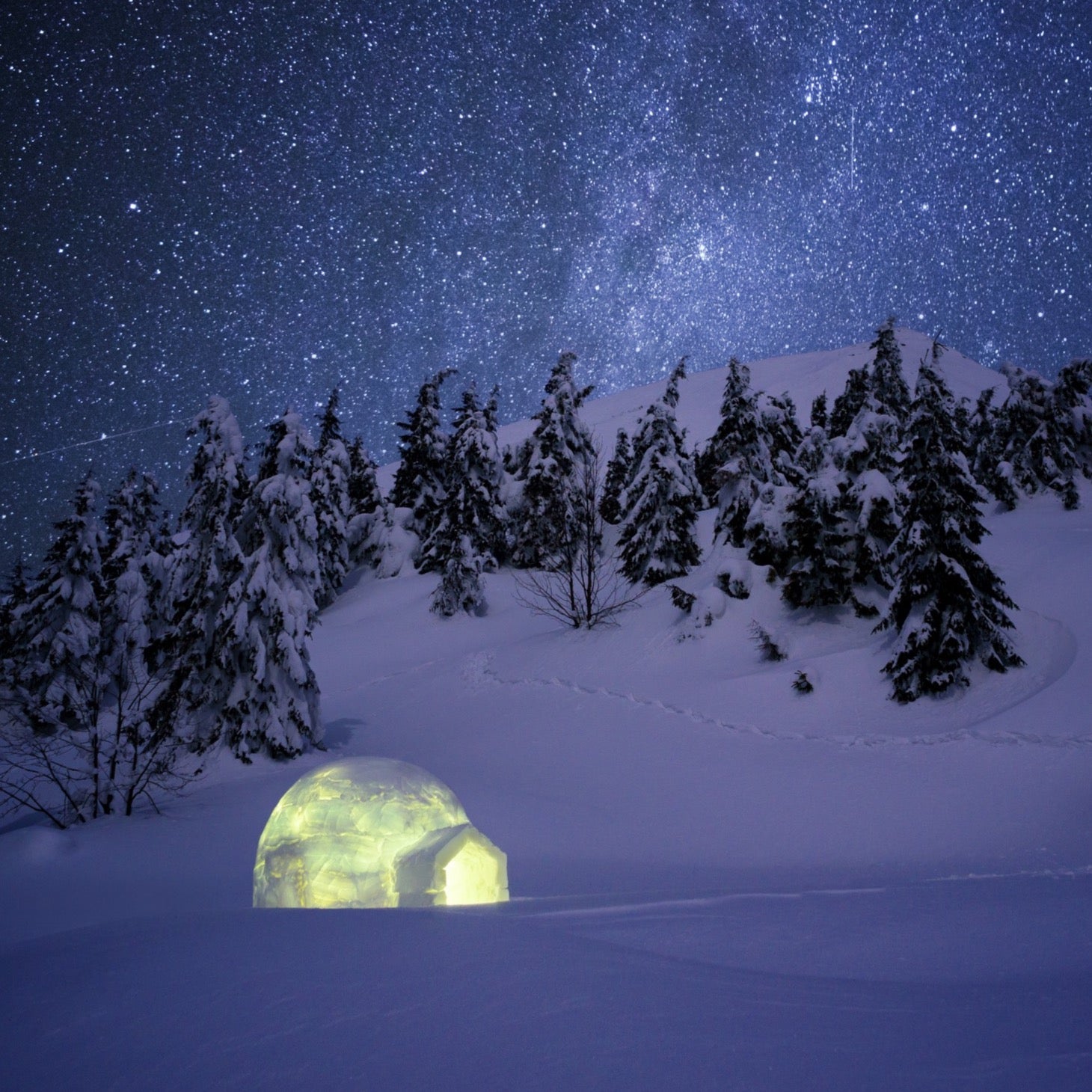 igloo under starry sky