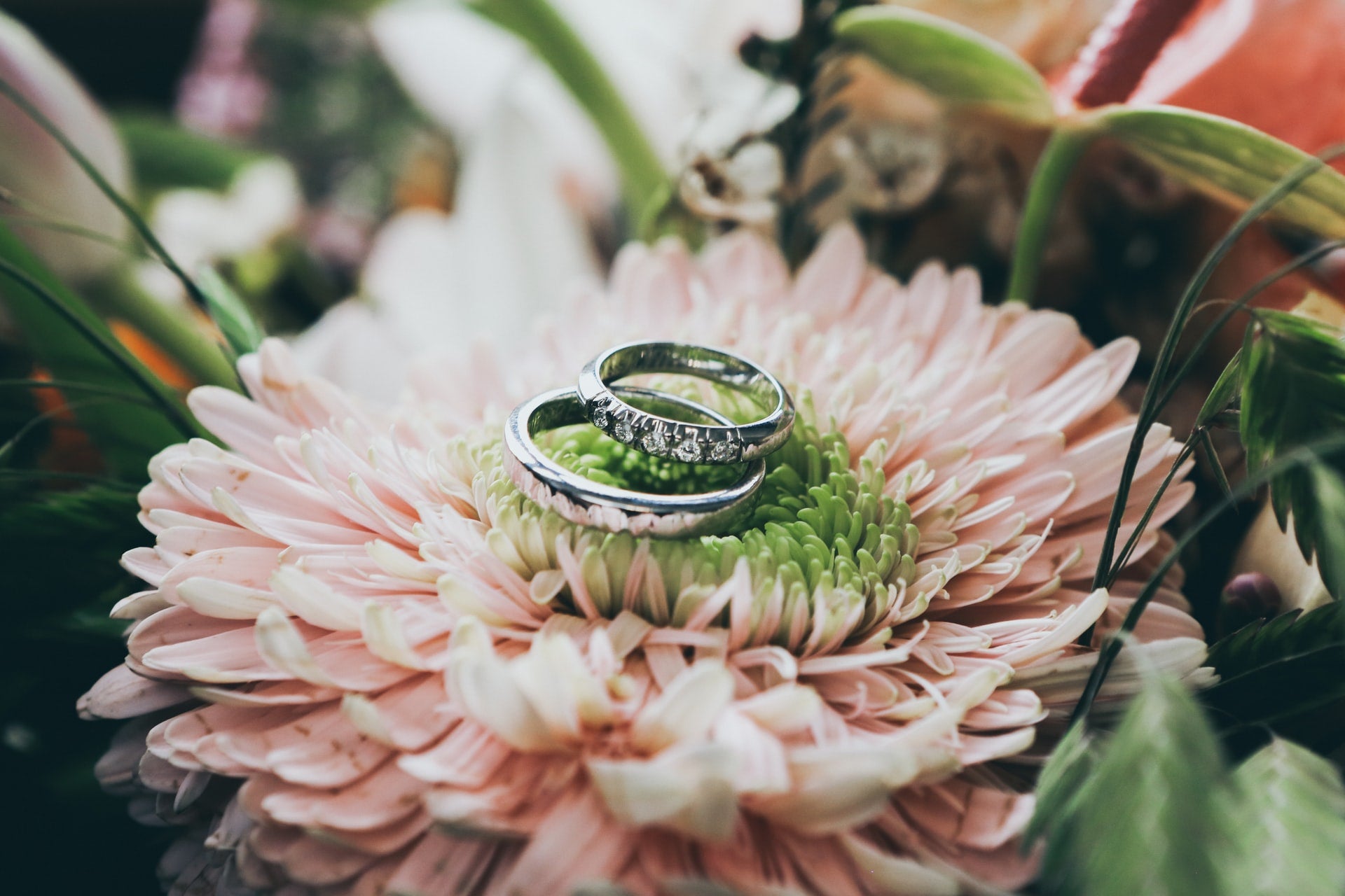 two wedding rings resting on a flower