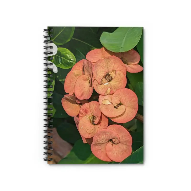 Noteworthy Ruled Line Notebook Brightens your Day and Boosts Creativity