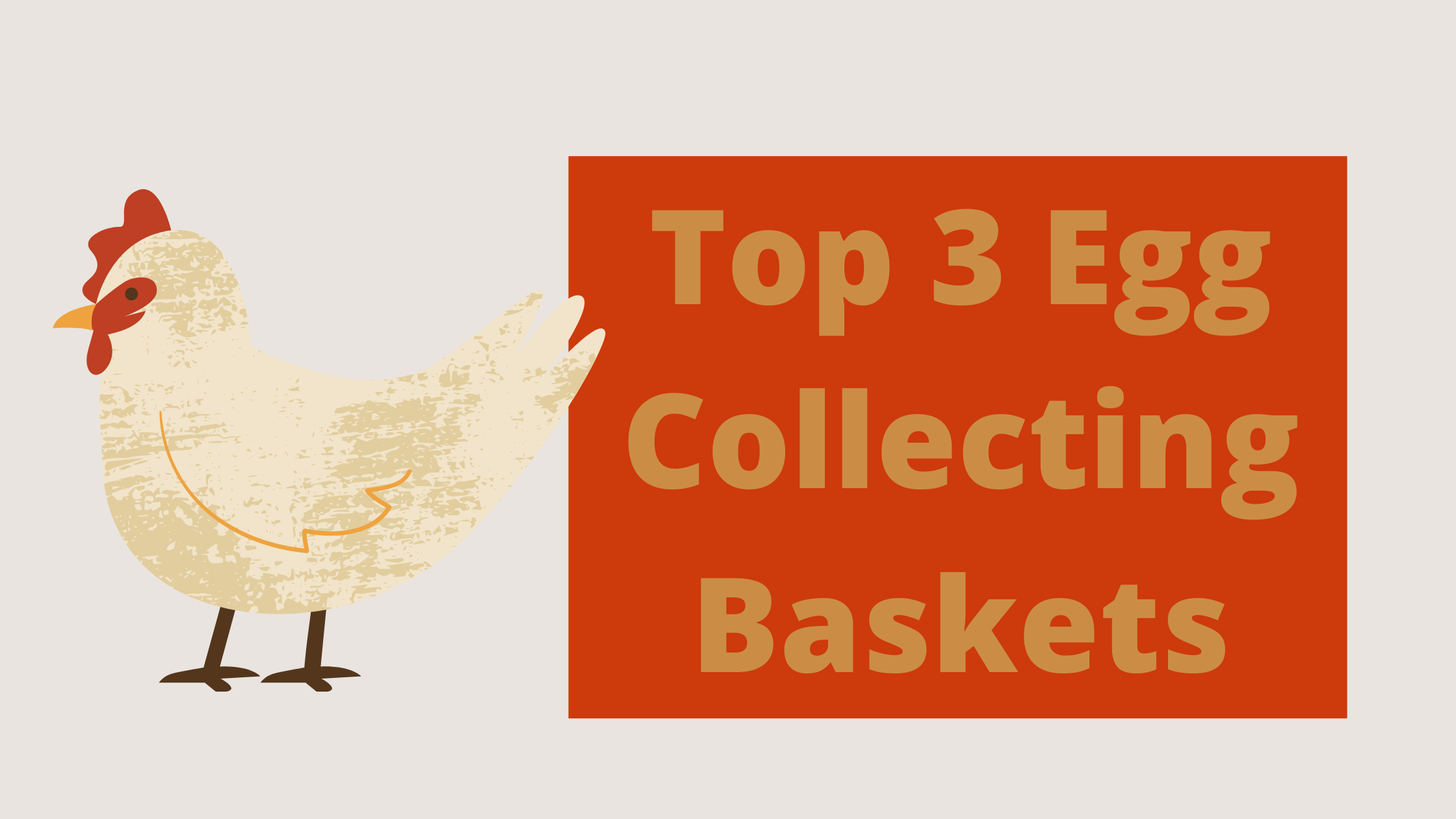 Top 3 Egg Collecting Baskets - Best Egg Baskets of 2022