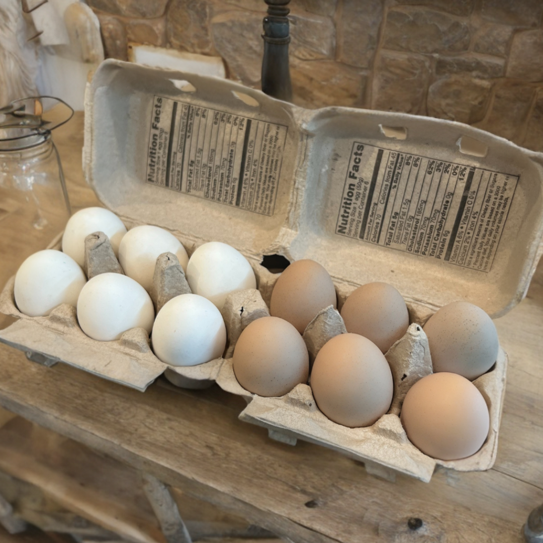 Buy the newest Spring Green Egg Cartons- Bulk set of 75 from your home