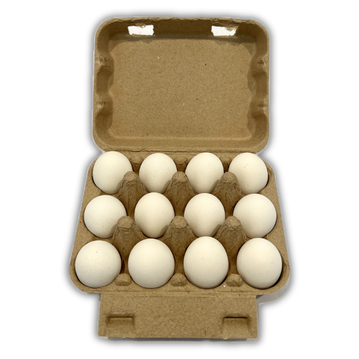 petamore Petamore (18 Cartons) Super White Pulp Egg Cartons Holds Up to  Twelve Eggs - 1 Dozen Extra Large - Strong Sturdy Material Perfec