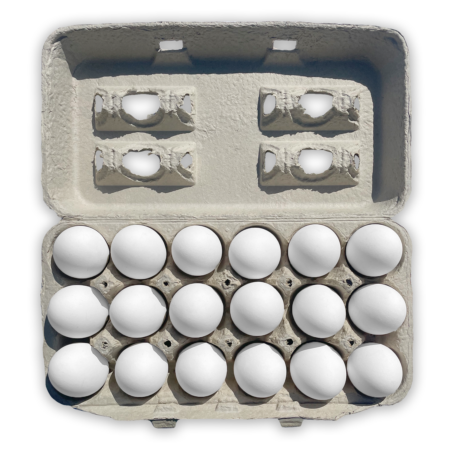  50 Pack Plastic Egg Cartons Cheap Bulk 12 Count Clear