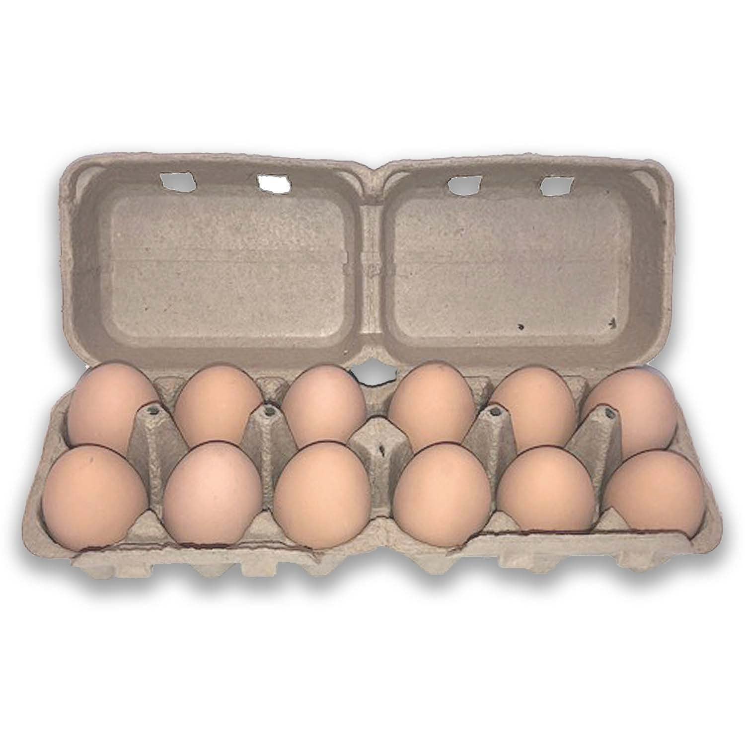 Duck Egg Cartons, 6-Egg Empty Paper Pulp –