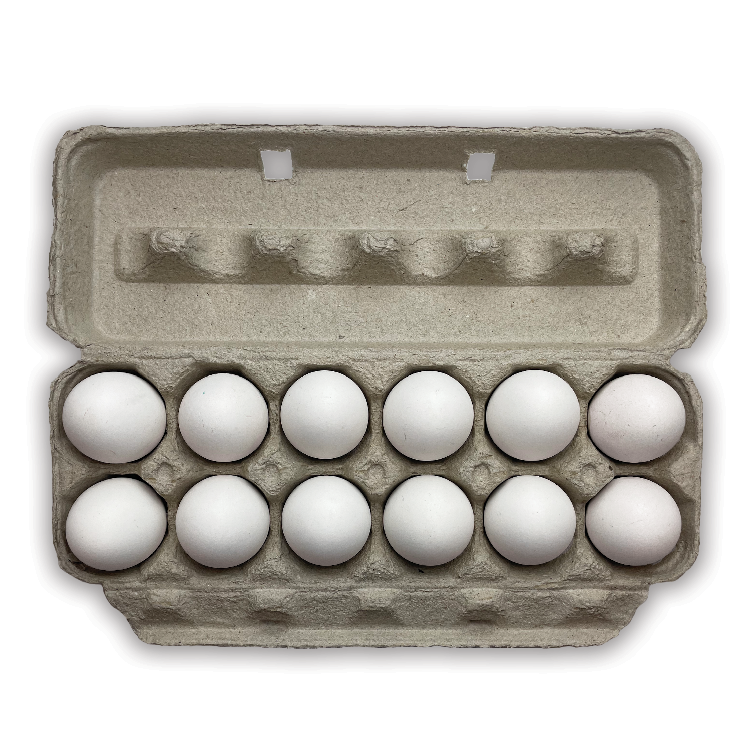 Chelbie Blank Natural Pulp Paper Egg Cartons Holds 12 Eggs (Set of 15) Prep & Savour