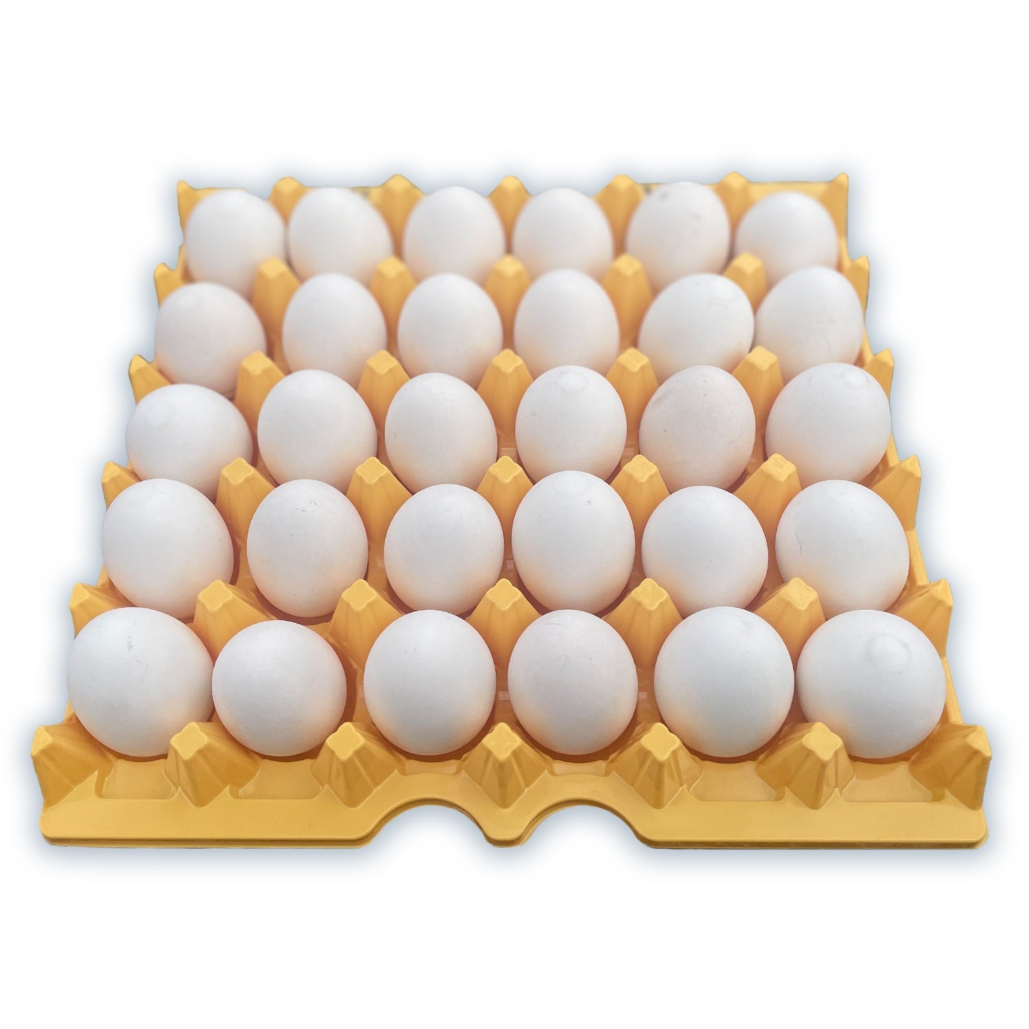 Egg Crate Tray Paper 3x4 Filler Flat –