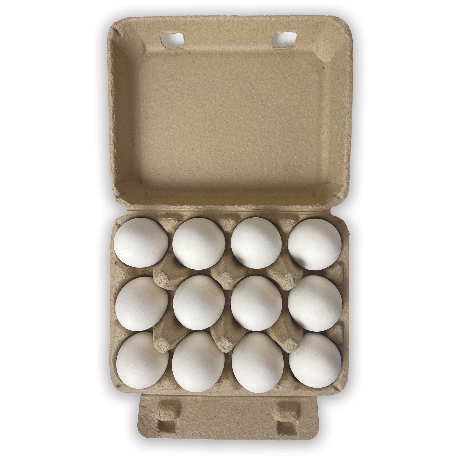 Henlay Vintage Blank Egg Cartons, Classic 3x4 Design, 2 Colors, 25, 75 - My  Pet Chicken