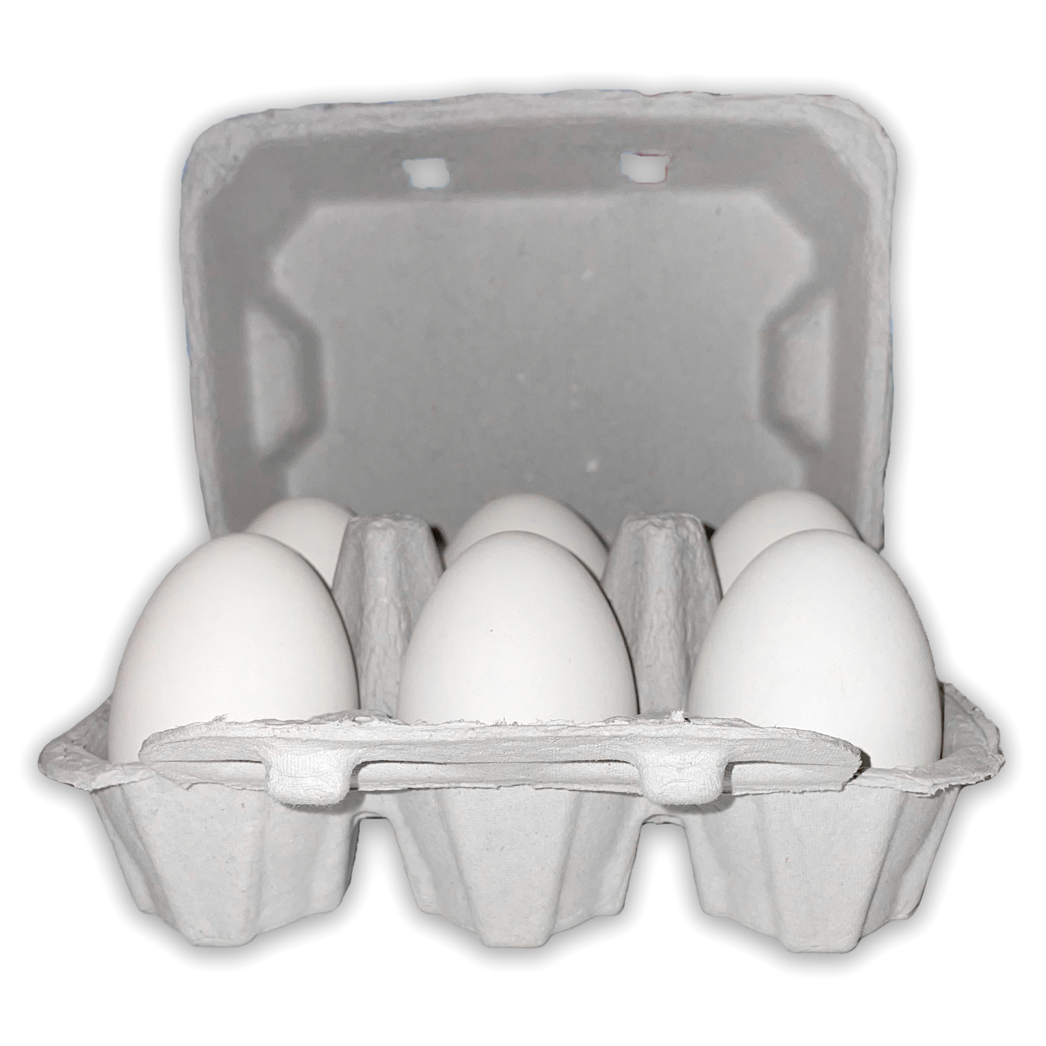 DUCK or Turkey Filler flat 4 x 5 Jumbo Egg Flat – Egg Cartons Online