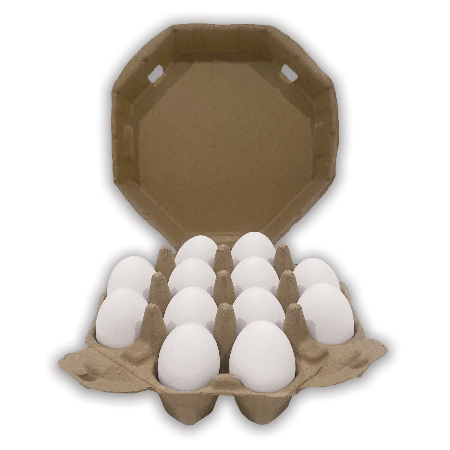 Octagon Paper Pulp Egg Carton –