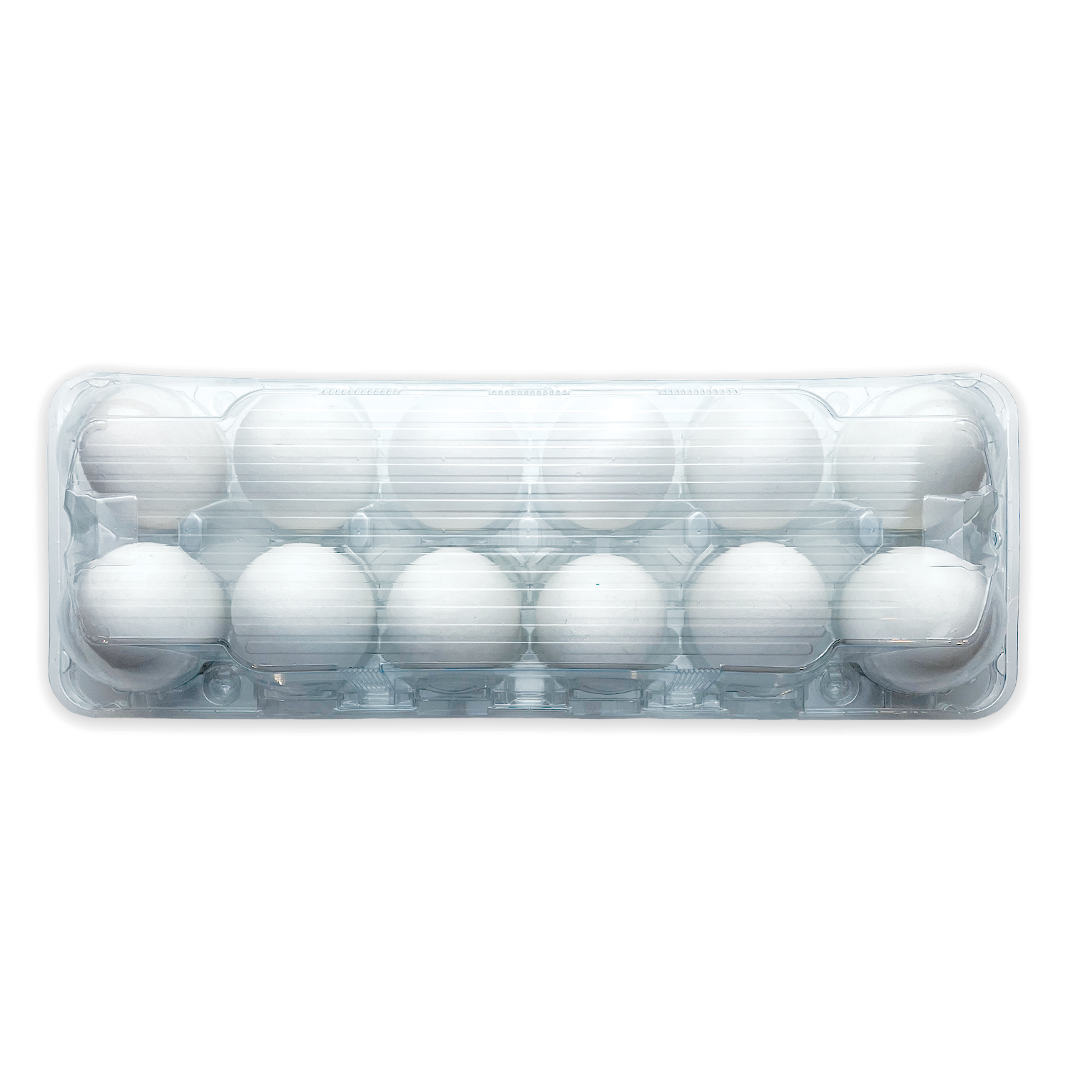 48-Pack Plastic Egg Cartons, Holds 1 Dozen with Date Labels