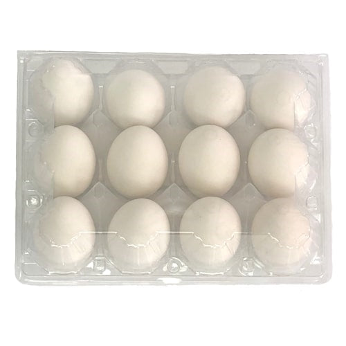 Plastic 12 Cell Vintage Egg Carton –