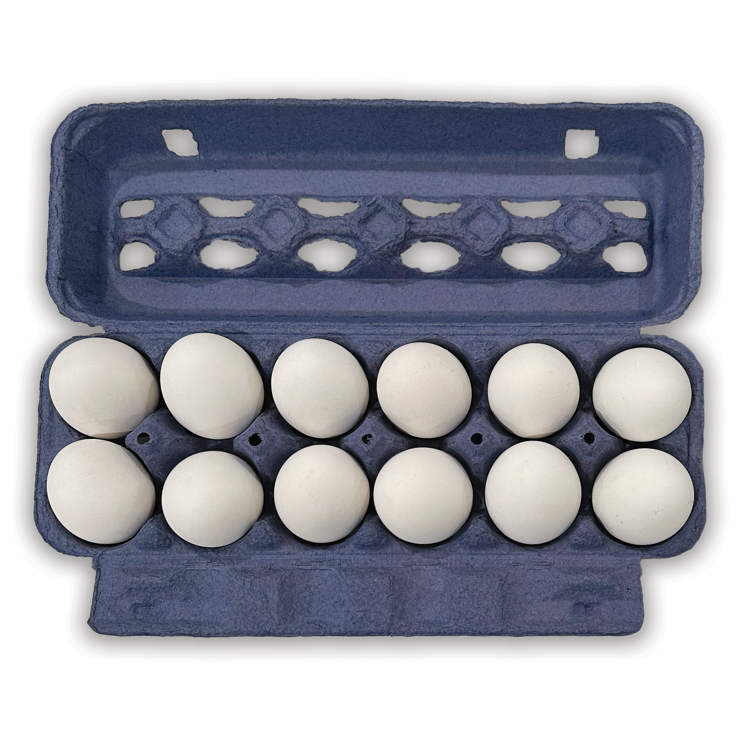 Styrofoam Bulk Egg Cartons (250 pack) Carton Blue