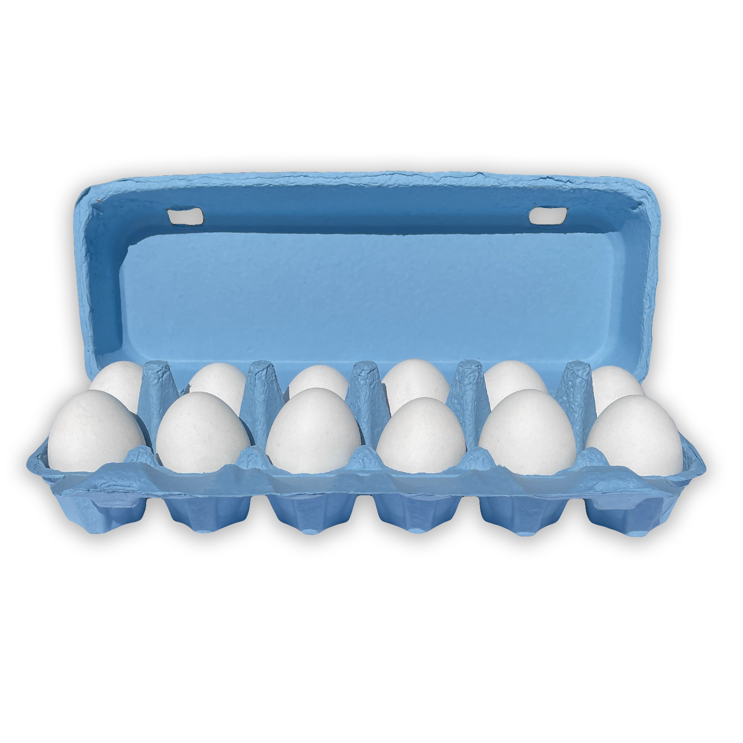 Turquoise Blue Square Paper Pulp Chicken Egg Cartons (12 eggs)