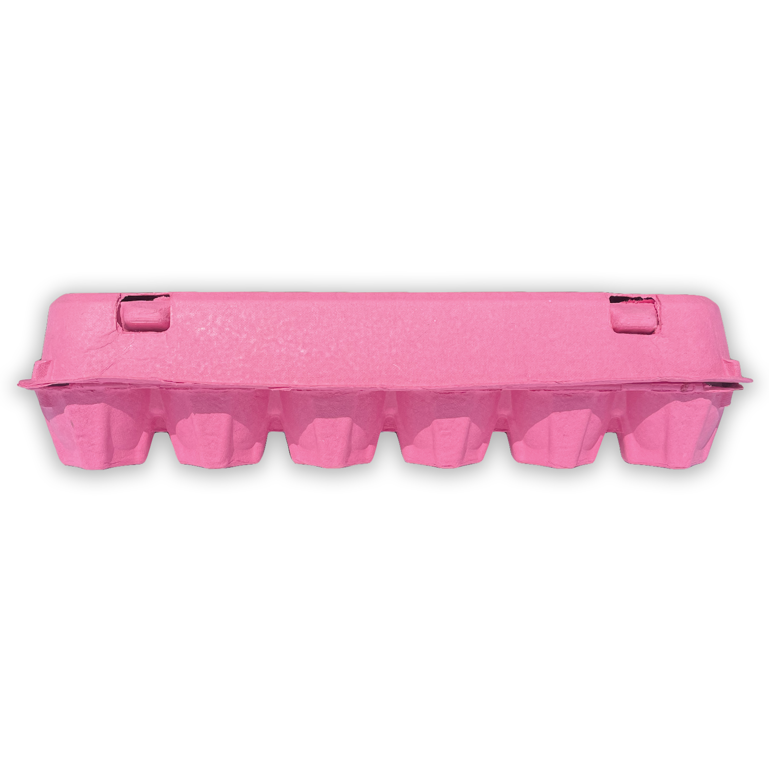 Pink 12-Egg Blank Styrofoam Carton