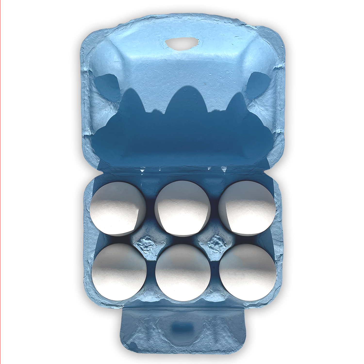 Turquoise Blue Paper Pulp Chicken Egg Cartons (6 eggs)