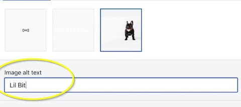 Image alt text box